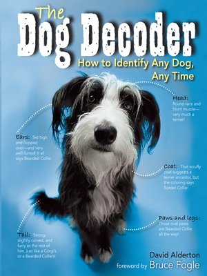cover image of The Dog Decoder